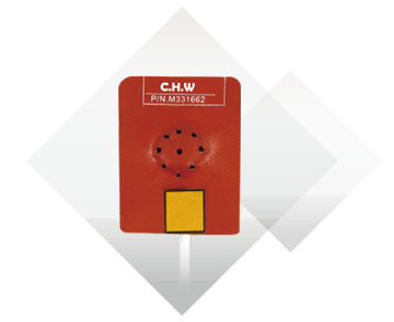 CMS Type